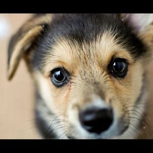 ✨Closet Clearout✨ ✨Discounts on items!✨